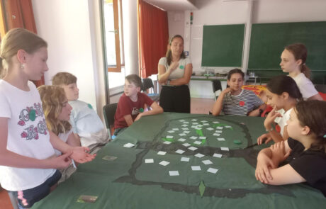 Teams Slytherin und Griffindor